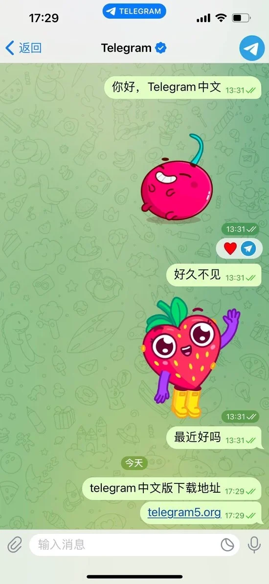 Telegram 中文版telegram ios interface settings示意图，帮助完成Telegram 中文版相关操作